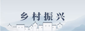 球速体育